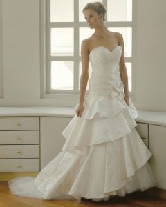 Elegant Wedding Reception Gown for Brides in Anand